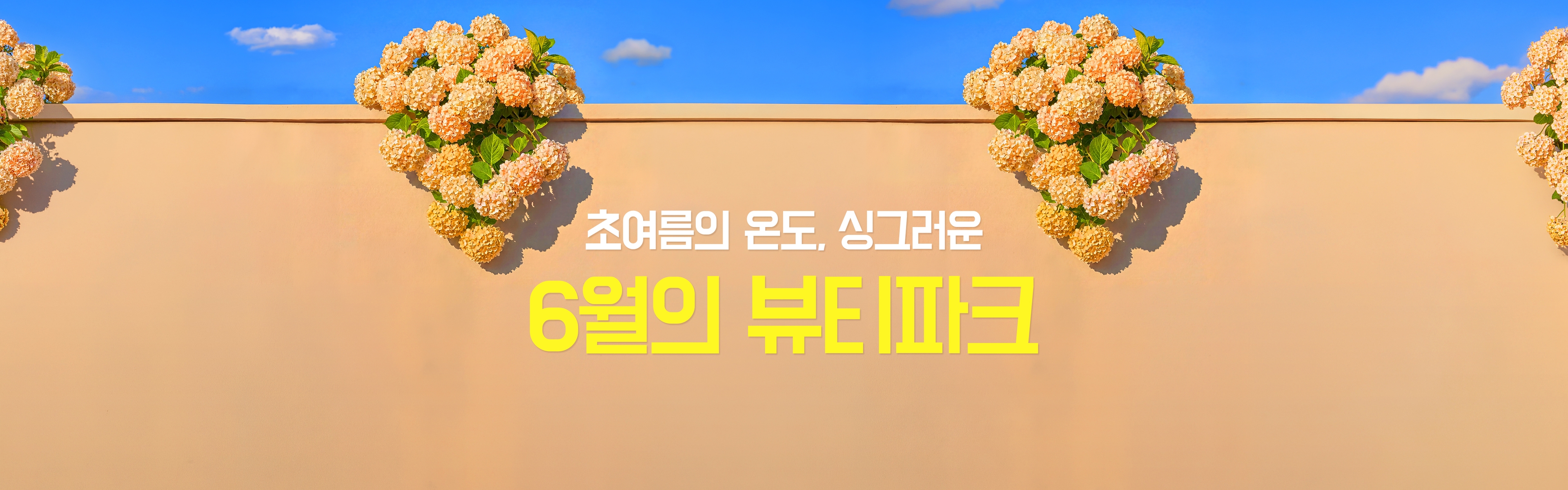 title-background