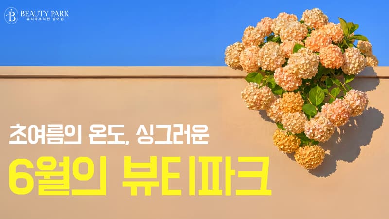 6월 이벤트 [6월의 뷰티파크]